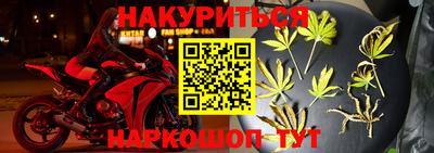 прущие грибы Канаш