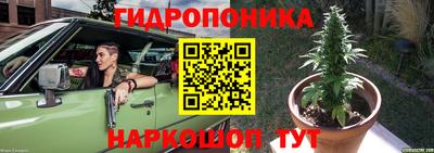 Альфа ПВП Кандалакша