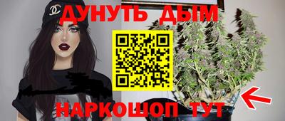 Альфа ПВП Кандалакша