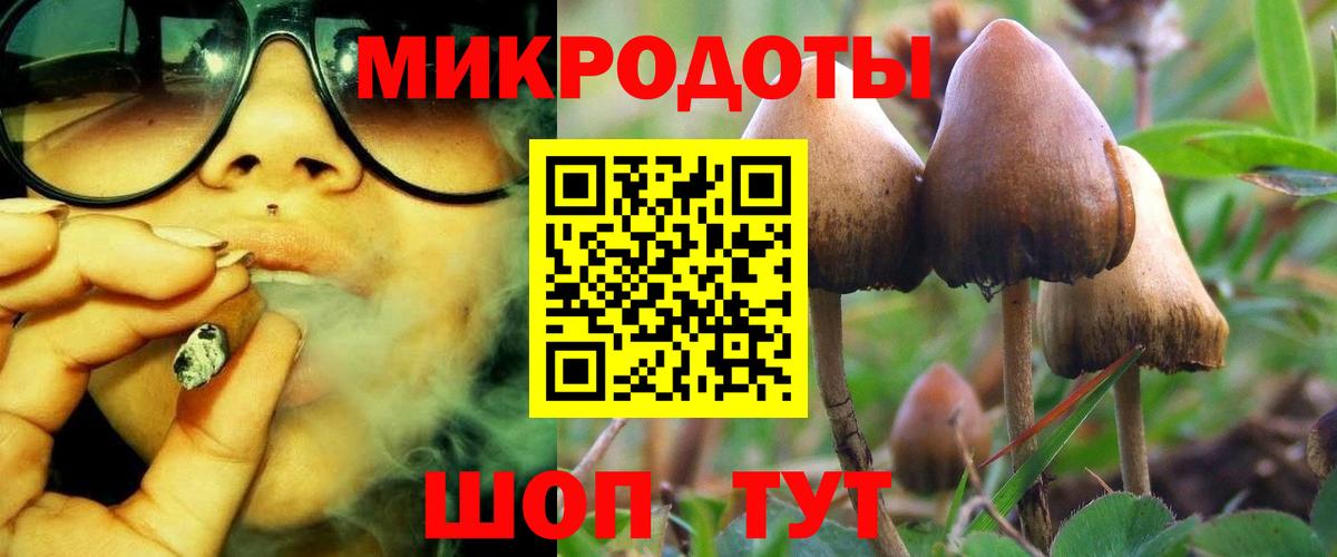 Лосино-Петровский  Псилоцибиновые грибы мицелий  Вход с VPN  Псилоцибиновые грибы Psilocybe 